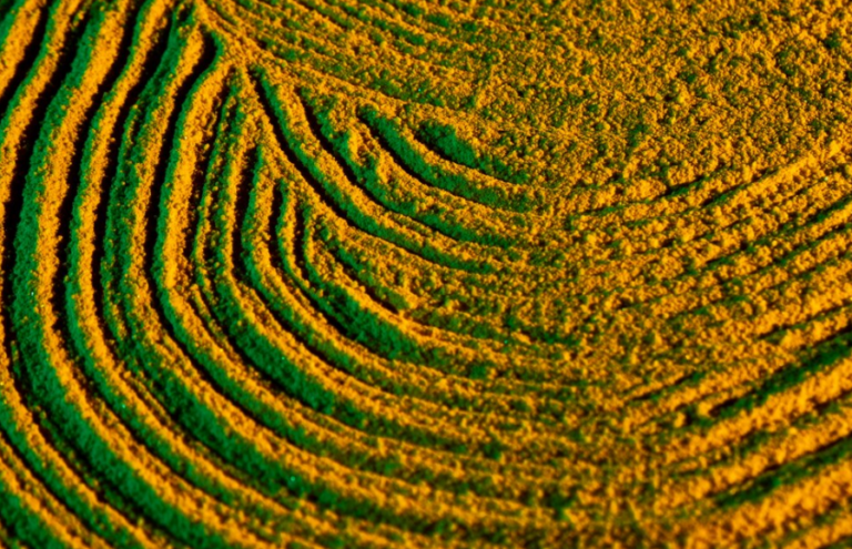 Innovation in Brazilian Agriculture..