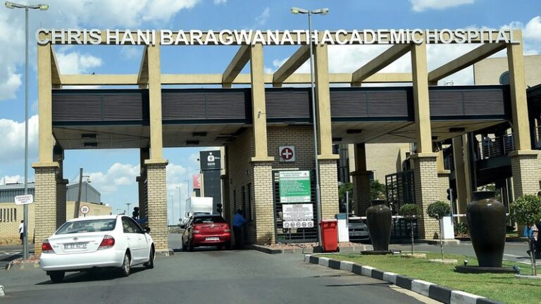 South Africa’s Public Health System and its resilience image